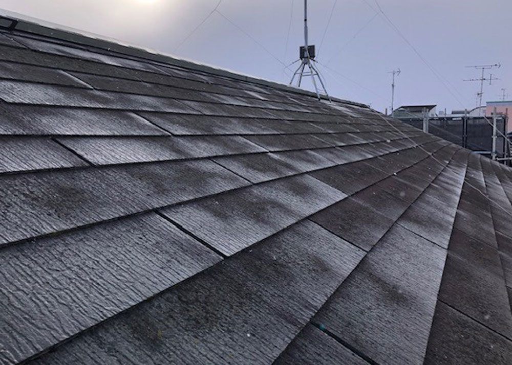 before_ground_plan_image1